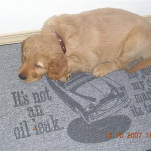 DSCN1986 (Small).JPG