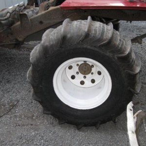 elbe hills aug 30th 09 083.jpg