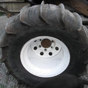 elbe hills aug 30th 09 085.jpg