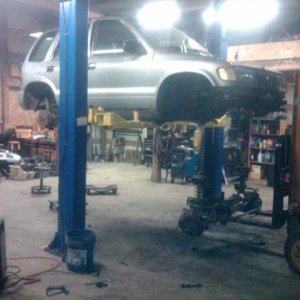 feb 24 10 blackberry 007.jpg