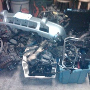 feb 24 10 blackberry 013.jpg