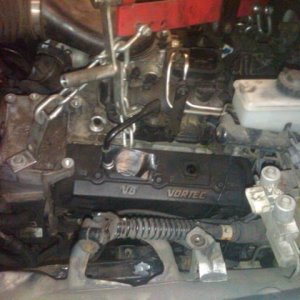 feb 24 blackberry 001.jpg