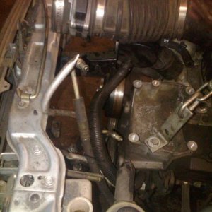 feb 24 blackberry 002.jpg