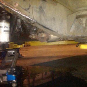 feb 24 blackberry 003.jpg