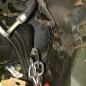 feb 24 blackberry 004.jpg