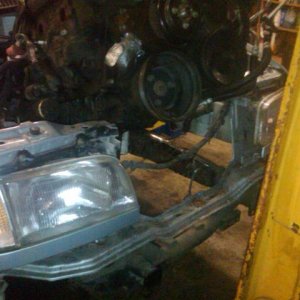 feb 24 blackberry 005.jpg