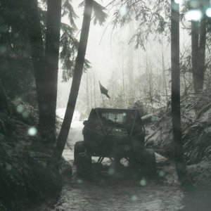 elbe hillz jan 2011 097.jpg