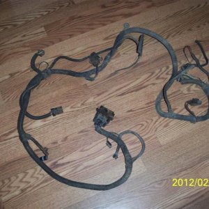 100_3449 (Small).jpg