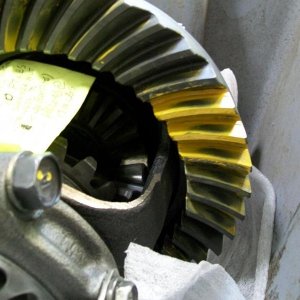 Differential setups 023.jpg