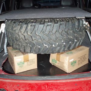 P1010456 (Small).JPG