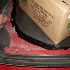 P1010455 (Small).JPG