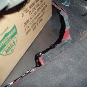 P1010458 (Small).JPG