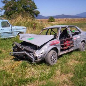 jetta hornet 017 small.jpg