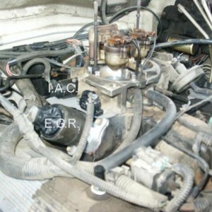 truckmotor002pn0.jpg