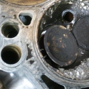 2010-10-19 18.51.51.jpg