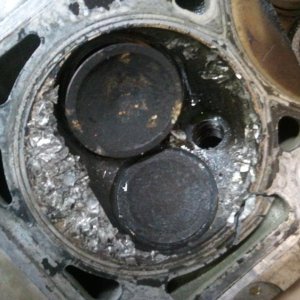 2010-10-19 18.52.07.jpg