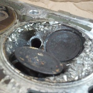 2010-10-19 18.52.21.jpg