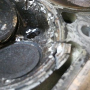 2010-10-19 18.52.30.jpg