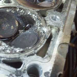 2010-10-19 18.52.41.jpg