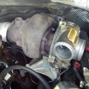 IMG_20130625_164306_812 (Copy).jpg