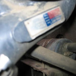 Picture 028 (Medium).jpg