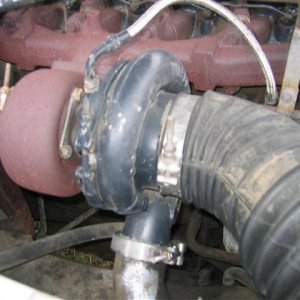 Picture 026 (Medium).jpg