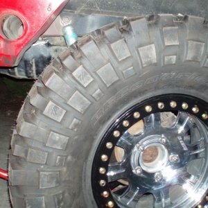 P1010547 (Small) (2).JPG