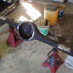 P1010574 (Small).JPG