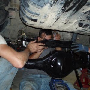 P1010597 (Small).JPG