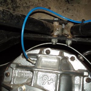 P1010626 (Small).JPG