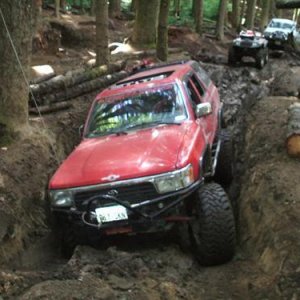 busywild trail 007.jpg