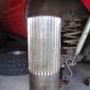 P1010270 (Small).JPG