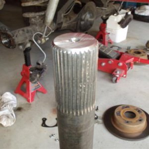 P1010271 (Small).JPG