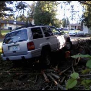 flexin on a log.jpeg