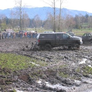 Picture 038 (Medium).jpg