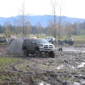 Picture 039 (Medium).jpg