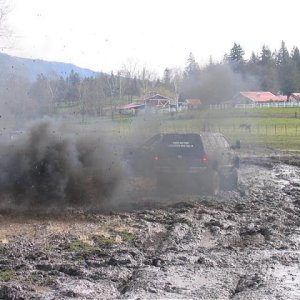 Picture 040 (Medium).jpg