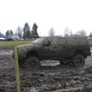 Picture 041 (Medium).jpg