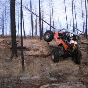 Buggy 1st Run 134.jpg