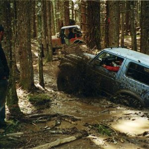 old elbe mud holes.jpg