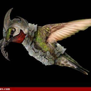 Hummingbird-Armor--56679.jpg