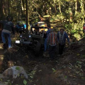 buggies and heeps1.jpg