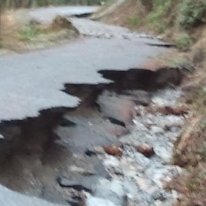 2011-02-04 13.49.07.jpg