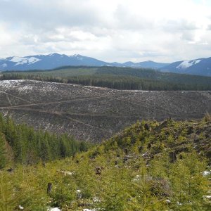 snow 4-17-11 021.jpg