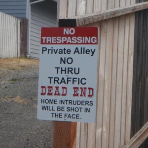 sami pics timing 001.jpg