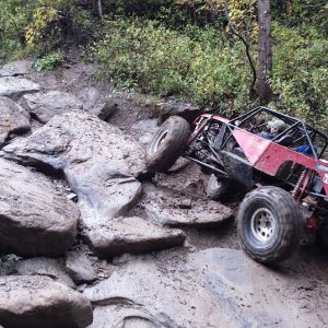 harlan Jay on Jagger.jpg