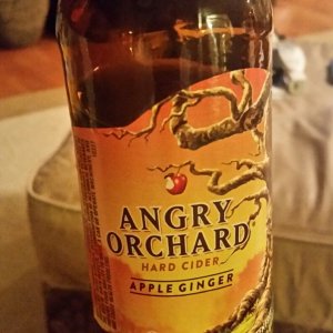 2015-02-03 21.51.29.jpg