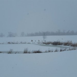 2015-02-16 15.55.37.jpg