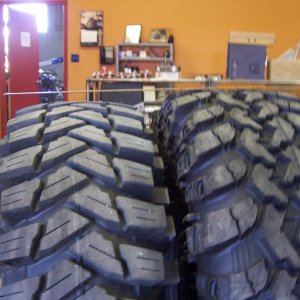 40in trep - 42in iroc.jpg