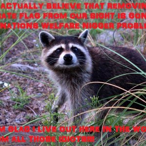 COON SAYS.jpg